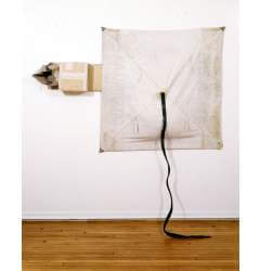 A sculptural work hanging on a wall, with a cardboard box next to a rectangular canvas, from the center of the canvas a rubber rope-like piece hands down to the floor.